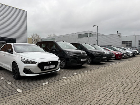 Borchwerf Auto's